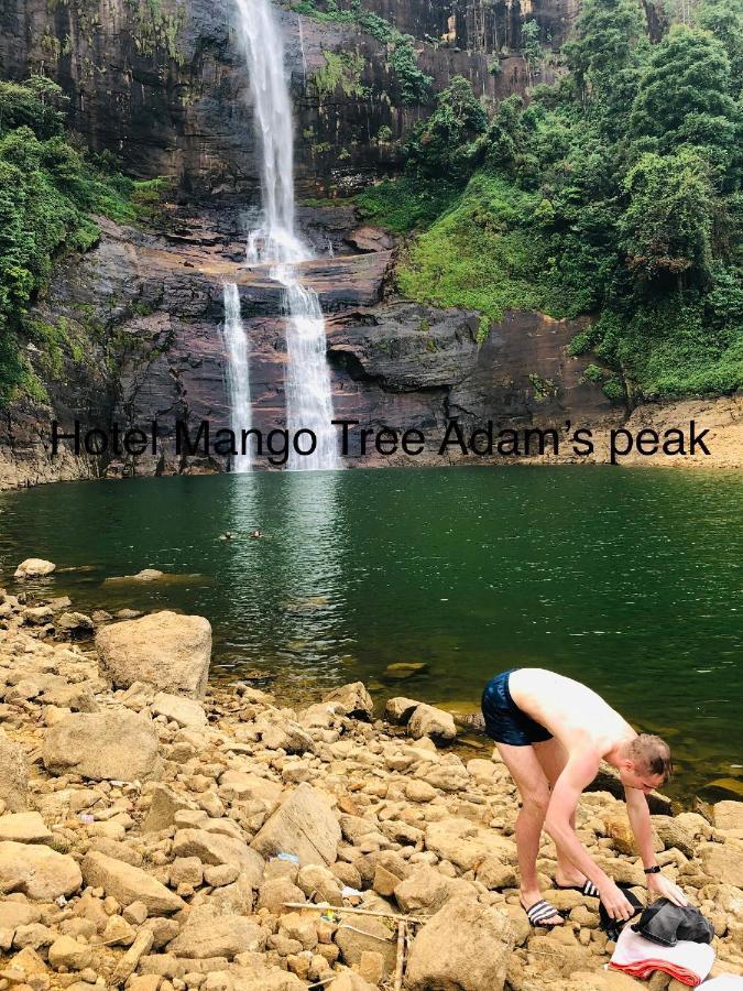 Hotel Mango Tree Nearest Adam'S Peak Nallathanniya Ngoại thất bức ảnh