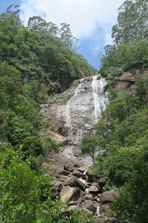 Hotel Mango Tree Nearest Adam'S Peak Nallathanniya Ngoại thất bức ảnh