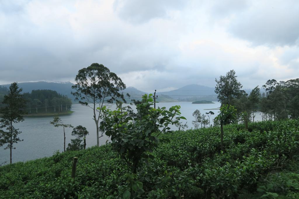 Hotel Mango Tree Nearest Adam'S Peak Nallathanniya Ngoại thất bức ảnh