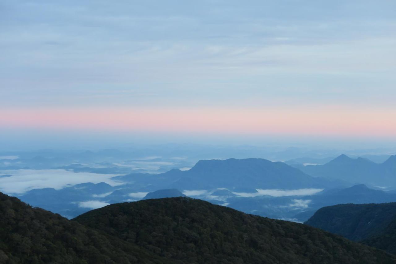 Hotel Mango Tree Nearest Adam'S Peak Nallathanniya Ngoại thất bức ảnh